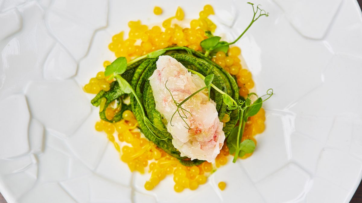 Cose Agency - SenzaFiamma