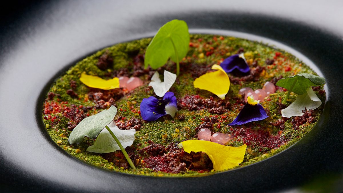 Cose Agency - SenzaFiamma