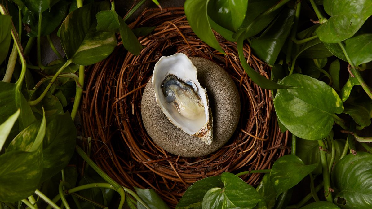 Cose Agency - SenzaFiamma