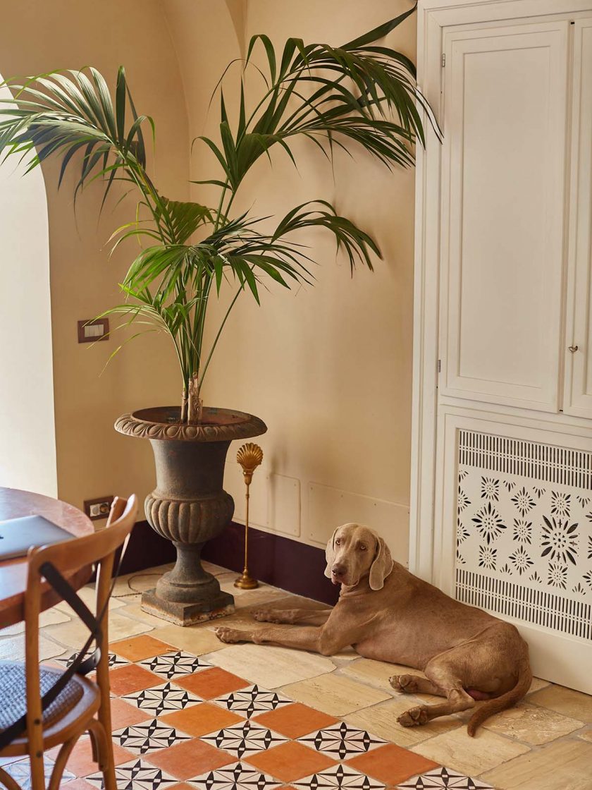 COSE AGENCY - Villa Vettica Content