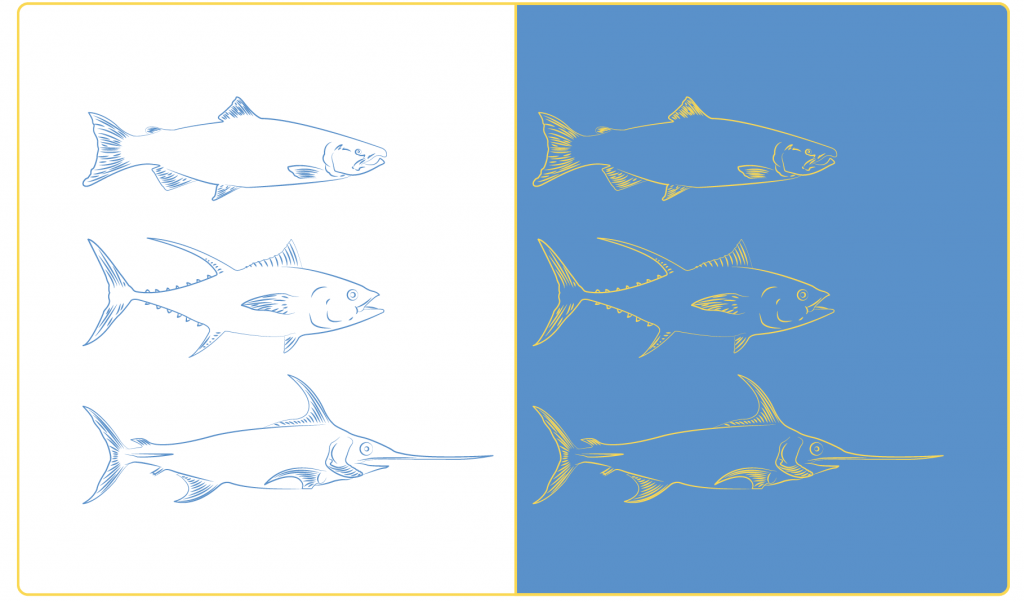 Cose Agency - Euro Surgelati Italia