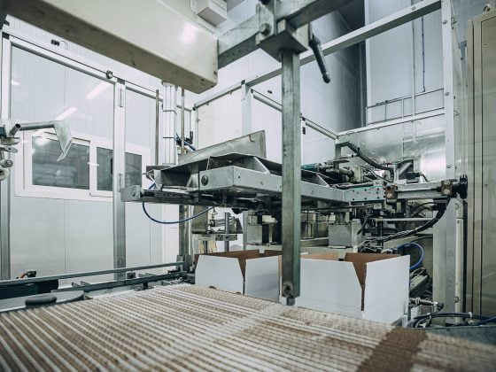 Cose Agency - Euro Surgelati Italia